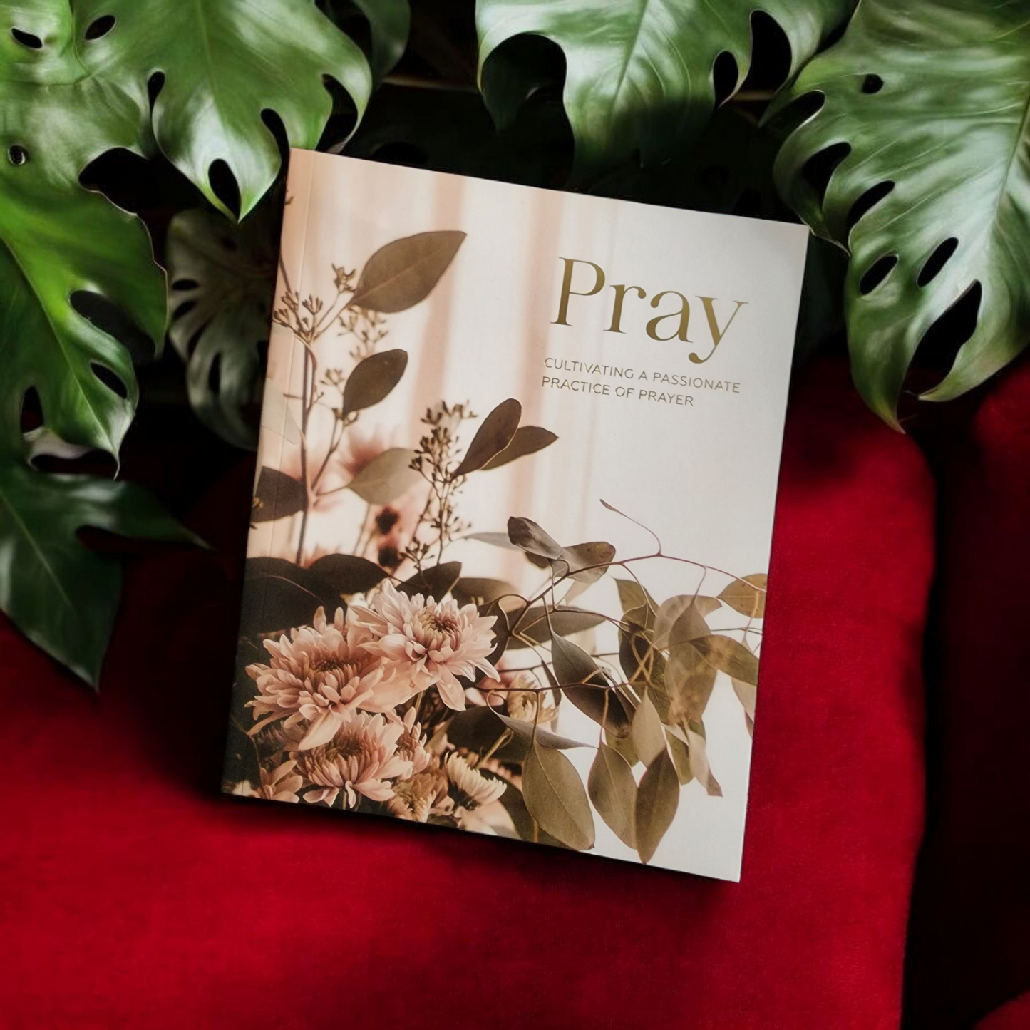 Pray: Cultivating a Passionate Practice of Prayer