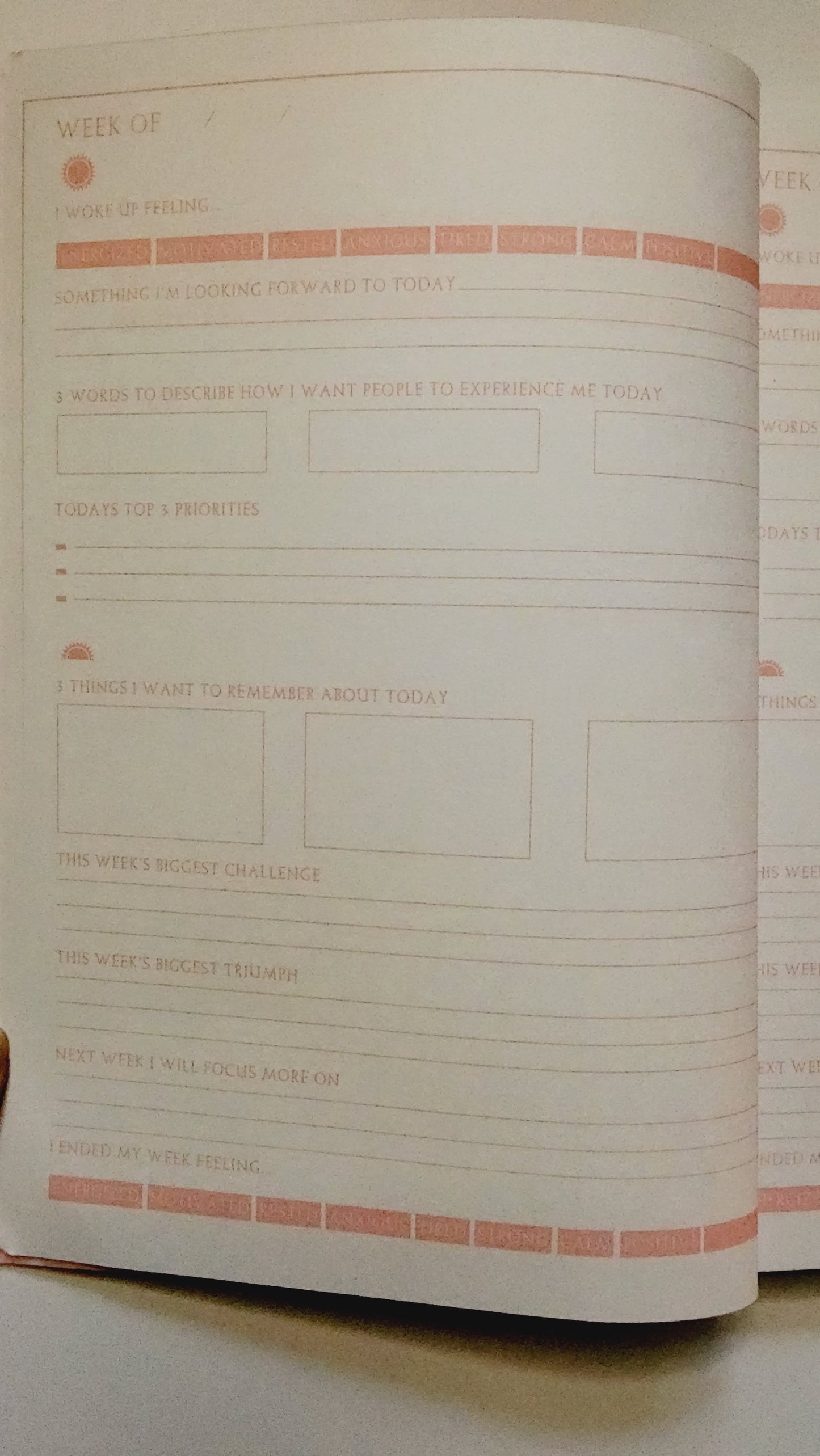 Journal: Daily Reflection: Guided Weekly Reflection